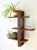 Wooden wall shelf with plants and glasses on a white background