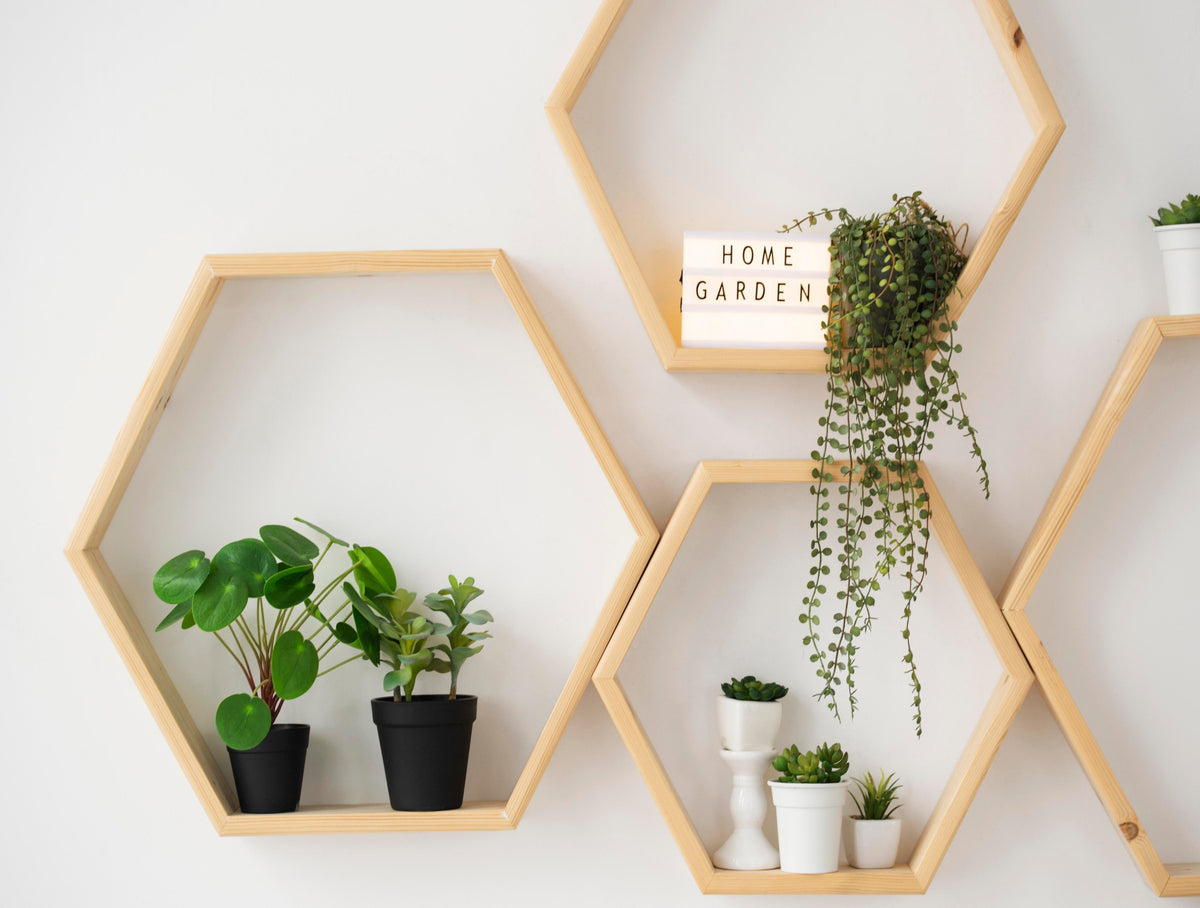 Hexagonal wooden shelves with plants against a white wall
